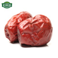 Organic high quality sweety yummy red dates jujube snack